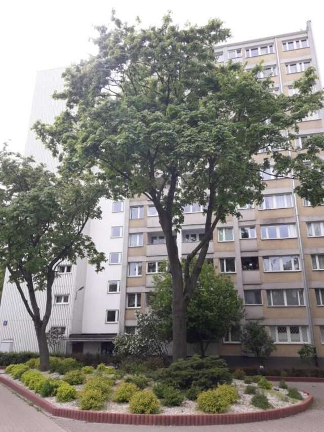 Апартаменты Apartament Orchidea Варшава-57